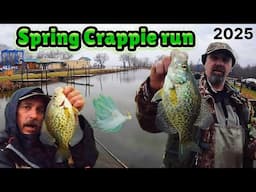 Shore Fishing Spring Crappie 2025 & Micro Marabou jigs