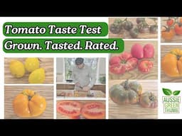 Which Tomato Tastes Best? Honest Review on 9 Homegrown Tomatoes