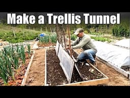 Better Bean Germination