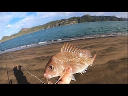 Remote Beach Fishing Adventure (The 10 Year Wait)