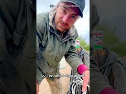 Clean Animal Water with Gambusia Fish