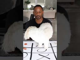 Playing a simple game with my dog and STILL lost smh
