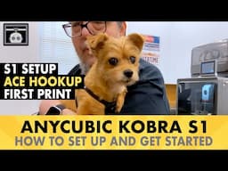 Anycubic Kobra S1: complete setup walkthrough