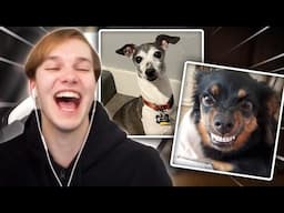 Roasting My Viewers PETS