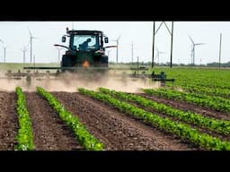 Save 75% In Hand Labor Costs With Finger Weeders - Texas Farmer Explains How