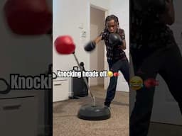 Woah🤣🥊 #shorts #funny #viralvideos