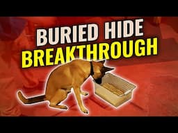 Dig into Success: Master AKC Buried Hides from Day One!