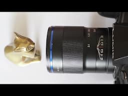 A Look At The Laowa 50mm f/2.8 2:1 Macro Lens For Micro Four Thirds Cameras