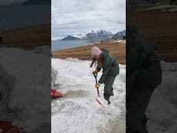 Our Cabin is a MESS | Svalbard Spring Clean Up