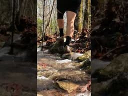 The Aftermath of a Cheaha Trail Storm