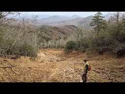 Landslide Maps as a Life-Saving Tool - using Helene-triggered landslides to increase understanding