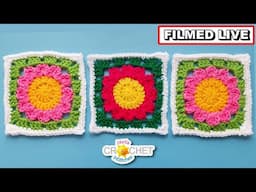 Little Flower Granny Square 6" 🌼 Jayda InStitches Live CAL 🌼 April 29, 2025