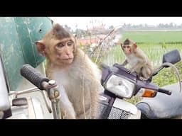 Nahu's expression when she first sat on a stranger's motorbike