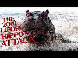 The 2014 Liboré Hippo Attack
