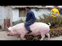 New Best Funny Videos🤣 Try Not To Laugh🤣 Funny & Hilarious People's Life 😂