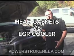 Head gasket VS EGR cooler