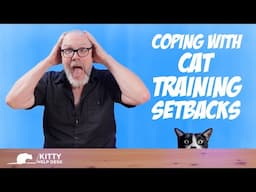Coping With Cat Training Setbacks