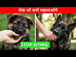 German Shepherd Biting Problem ka solution : German shepherd training : gsd