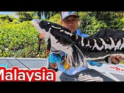 Hành Trình Chinh Phục Lóc Bông Malaysia - Tập 1