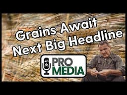Grains Await Next Big Headline