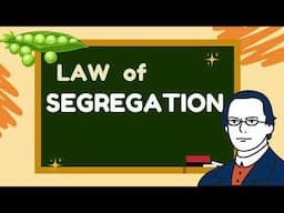 Law of Segregation I SHORT EXPLANATION