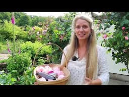 How to Make Rose Hydrosol at Home (DIY Rose Water)