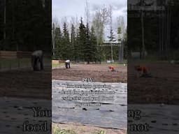 What’s your garden goal? Food production or athletics?