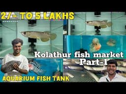 Aquarium fish tank 🫢 60 ₹ முதல் ₹  30000 என்னடா சொல்றீங்க 🤯 Kolathur Fish Market 😱 Part 1