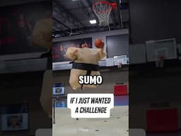 If Challenge Is the Goal… Just Wear a Sumo Suit
