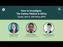 How to Investigate The Carbon Market in Africa