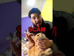 The story of mistreating Cats and kittens for Money!!