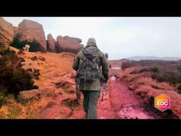 Wisport Silverfox 2 40L Backpack – The Ultimate Tactical Pack