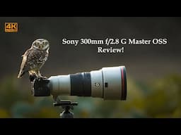 Sony 300mm f/2.8 GM Review | Bird Photography with the  300mm f/2.8 GM OSS - Review