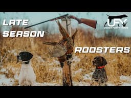Late Season Pheasant Hunting | Double Dog Duty