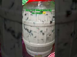 Cookies and cream palamig negosyong patok ngayong summer #palamig #summernegosyo