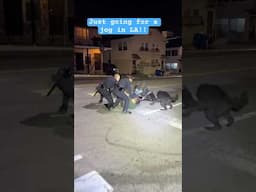 Dangerous police  dog chase! Dog attacks Robbery suspect!  #dog #viralvideo #viralshorts
