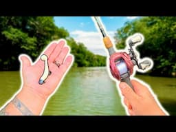 You Won’t Believe What We Caught Kayak Fishing This Ohio River Creek! (West Virginia Bass)