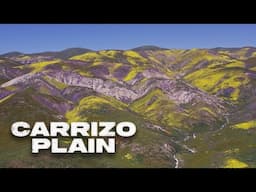 Carrizo Plain: The Best Wildflowers in California?