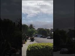 #fremont #bayarea #california #morning #shorts