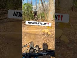 The new Butter Gap trail in Pisgah is a MUST RIDE!