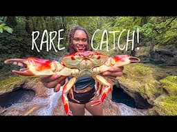DEEP DIVING & SPEARFISHING FOR GIANT STONE CRAB (CATCH, CLEAN & COOK)