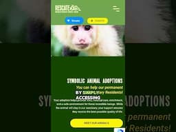 Adoption can make a difference! Support an animal in our Sanctuary