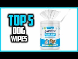 ✅Top 5 Best Dog Wipes in 2025