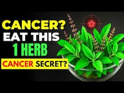 Cancer Dies When You Eat These 12 Herbs (Cancer SECRETS)