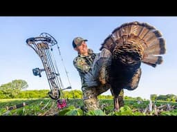 Bowhunting Nebraska Turkeys (No Blind)