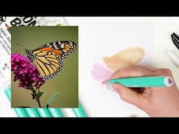 SketchBox how-to: make the most of illustration markers