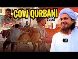 Cow Qurbani 2025 | Mufti Tariq Masood Vlog