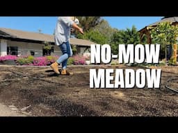 🌱 Harvest Morning & Sowing the Meadow in the Center Island! 🌱