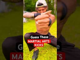 Guess These MARTIAL ARTS Kicks! Part 2! #martialarts #shorts