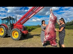 Зажарили Целого Быка в Тандыре на Праздник! Пришлось вызывать Трактор!